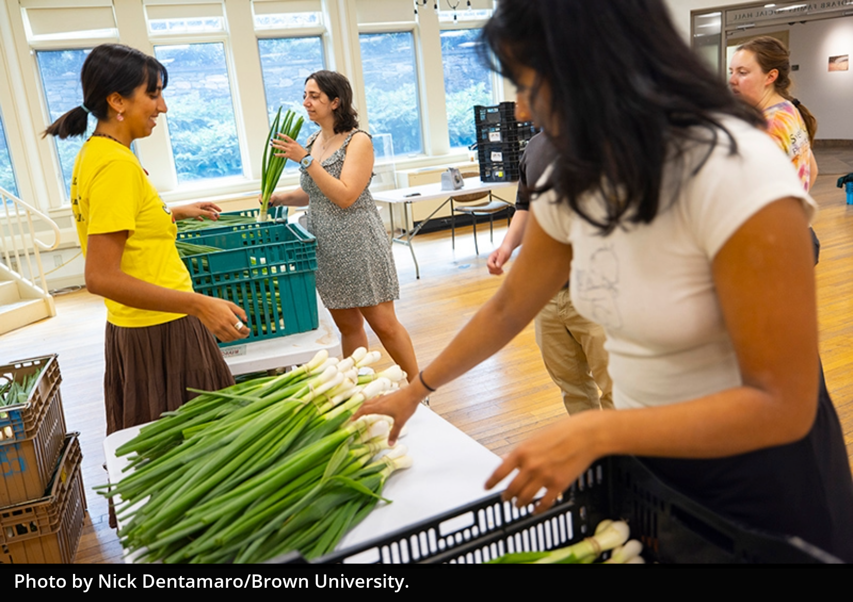 Students collecting green onions from piles on a table, smiling and standing inside a windowed room.